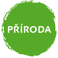 Příroda